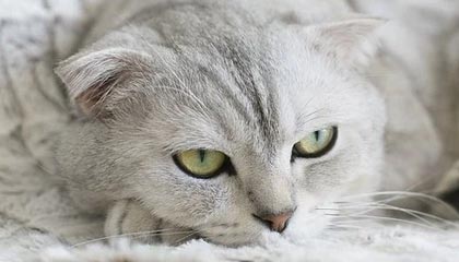 fb体育登录入口-青训机构建立家校合作机制强化学生自律管理，建立健全家校合作机制