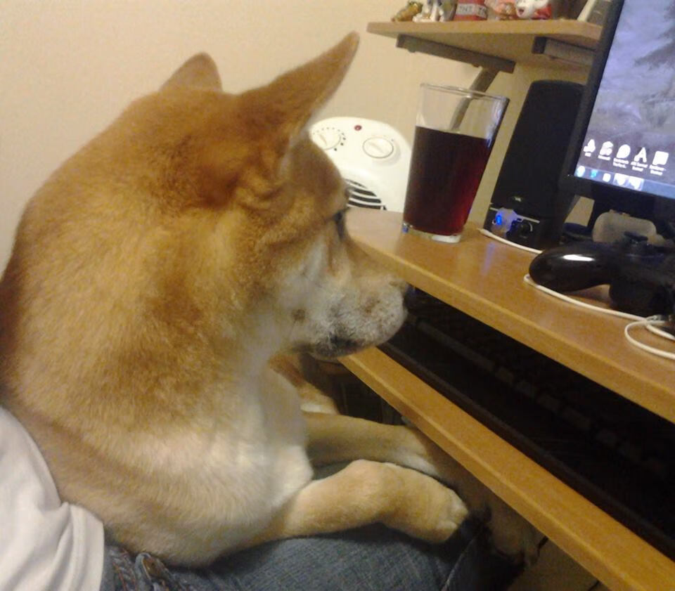 LPL官方推出新赛季宣传片，lpl官方推出新赛季宣传片视频