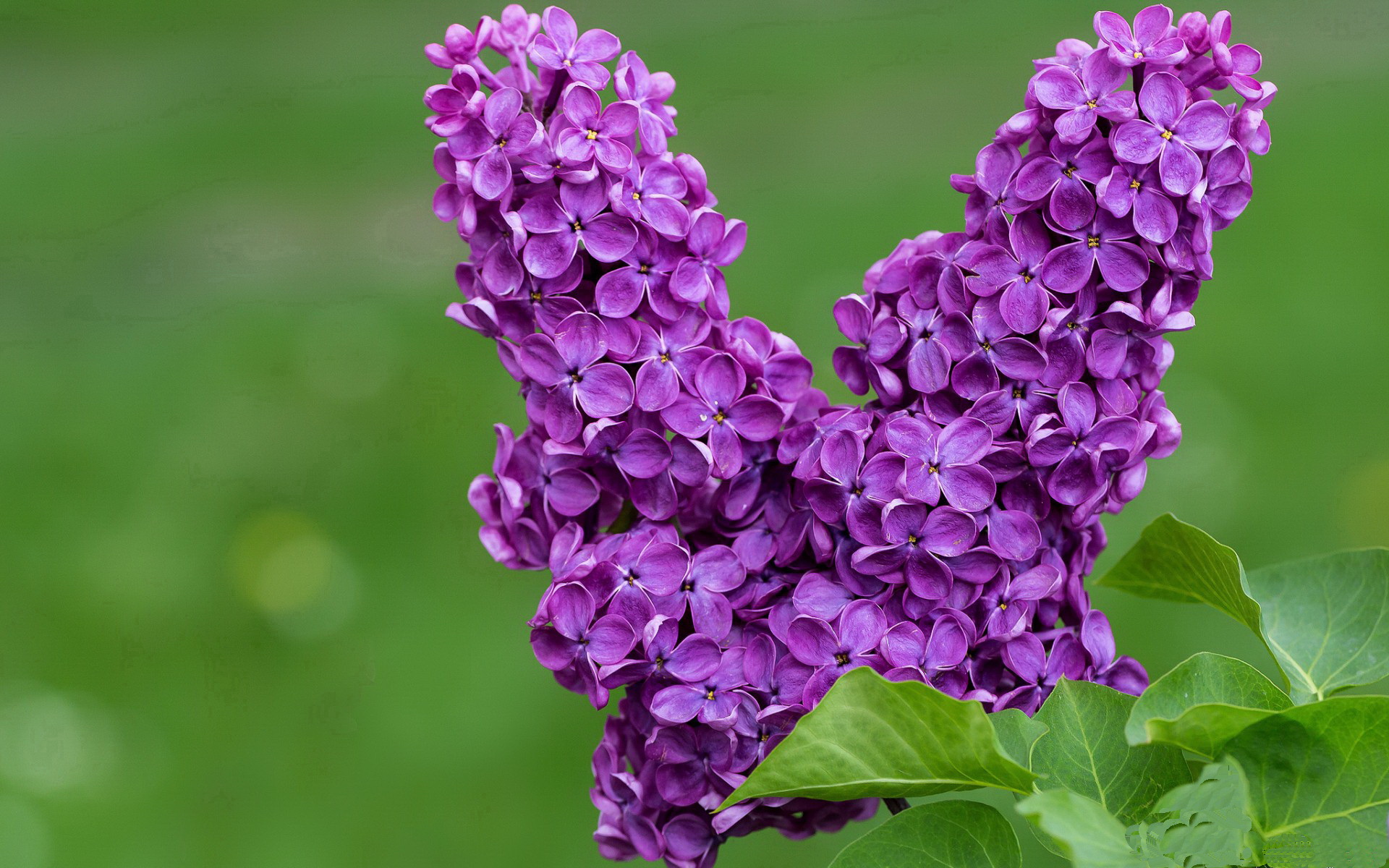 fb体育赛事平台-推动瑜伽与其他运动项目的融合发展，瑜伽与健身怎么结合