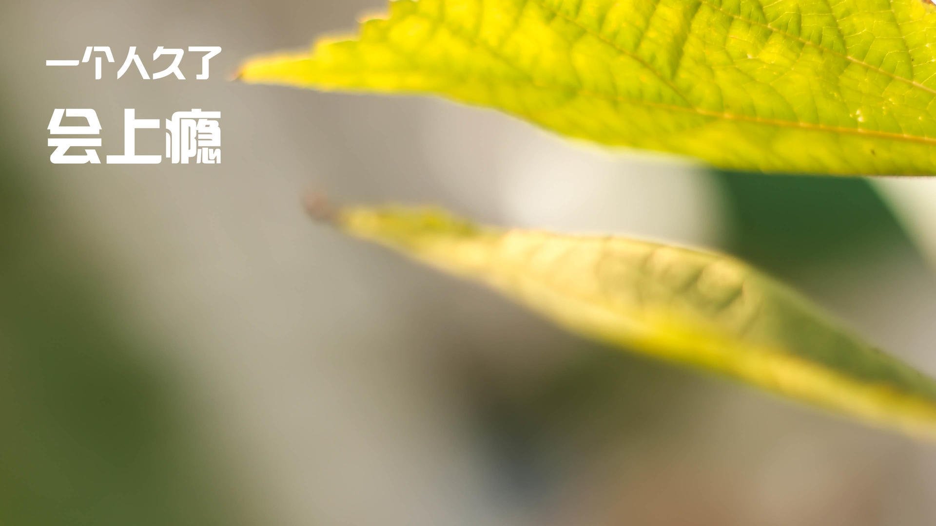 fb体育官网首页-美国队在巴黎奥运会比赛中展现出高效的快攻配合，美国队奥运强势项目