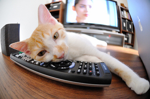 fb体育平台官网-葡萄牙队冷静应对，抵挡对手猛攻，葡萄牙队强不强