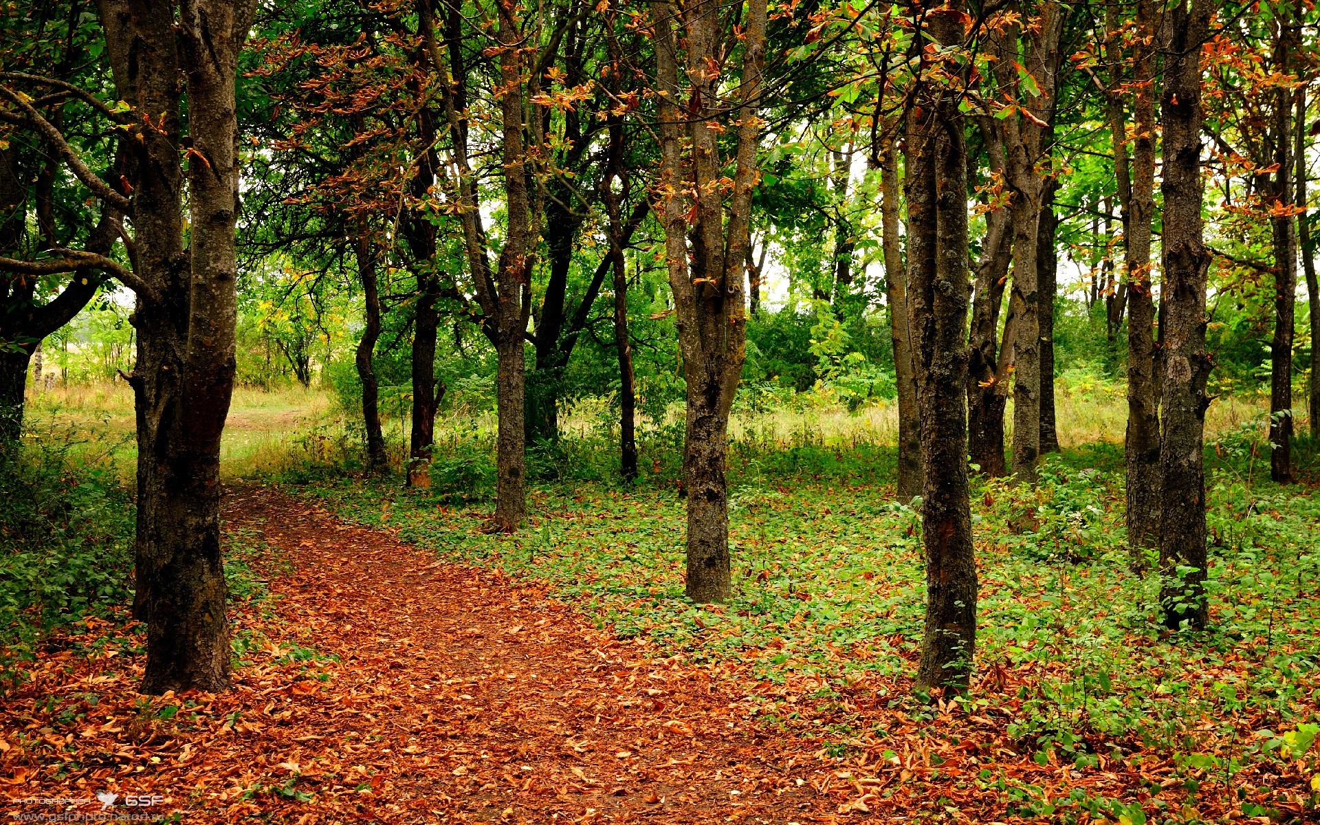 fb体育平台官网-里尔签下新后卫，强化防守线提升防守质量，里尔转入球员