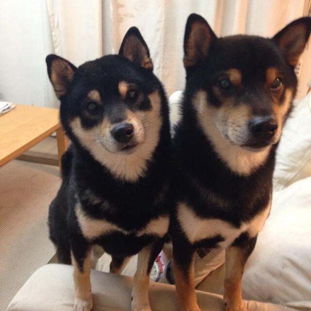 fb体育登录入口-亚冠联赛精彩比赛激发球迷热情，亚冠联赛消息