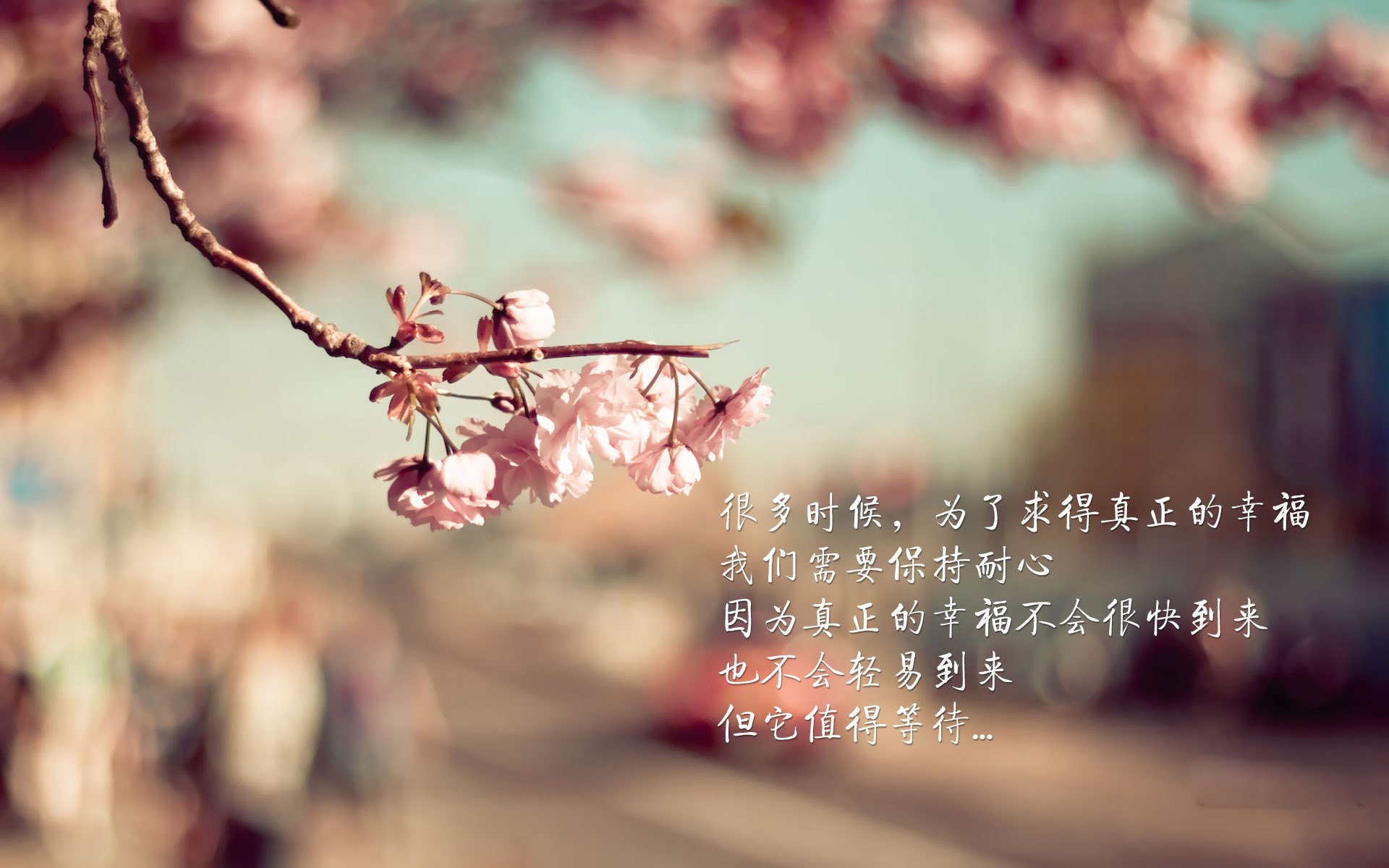 fb体育中国官网-美洲杯明星争光：突破、精彩助攻！，美洲杯选手